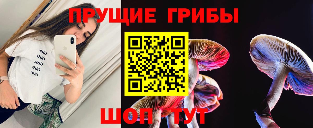 Галлюциногенные грибы GOLDEN TEACHER Десногорск
